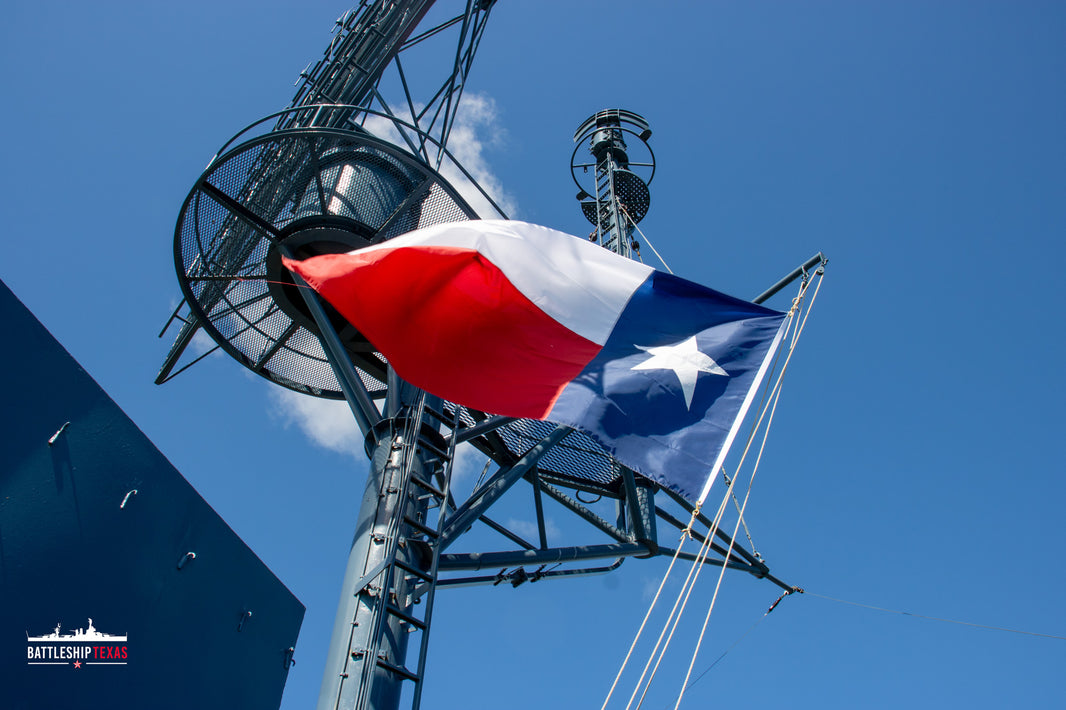 Texas State Flag