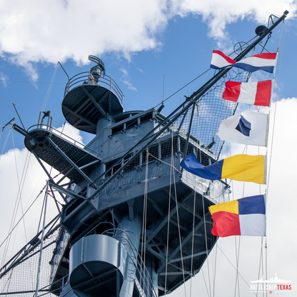 Signal Flags